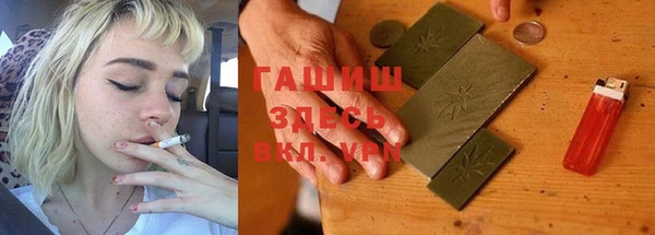 гашик Алексеевка