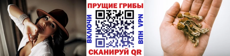 Псилоцибиновые грибы MAGIC MUSHROOMS Исилькуль